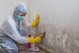 Best Mold Removal for HVAC Installations  in Warm Mineral Springs, FL